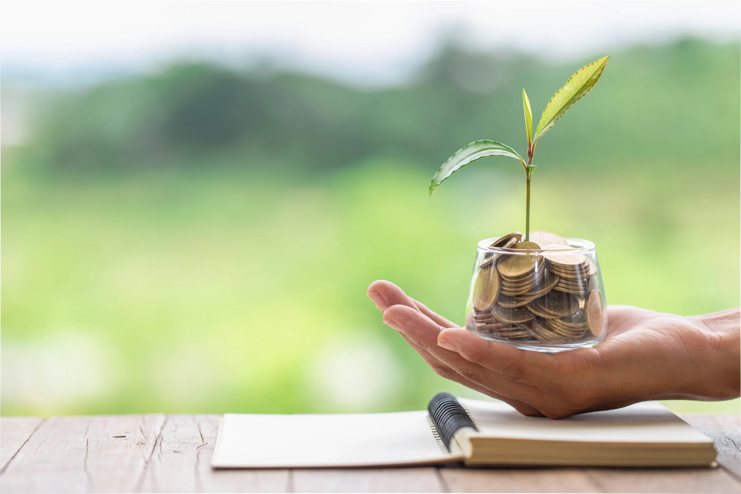 Ethical investment - jar of coins with a plant growing from the money