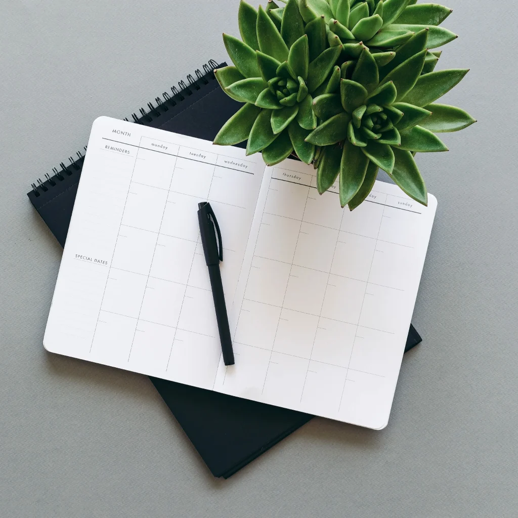 Notebook with pen and houseplant