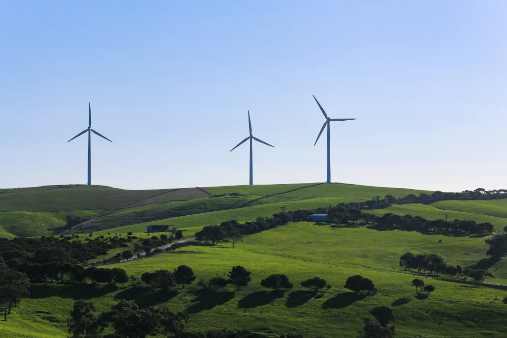 Wind turbines in a field